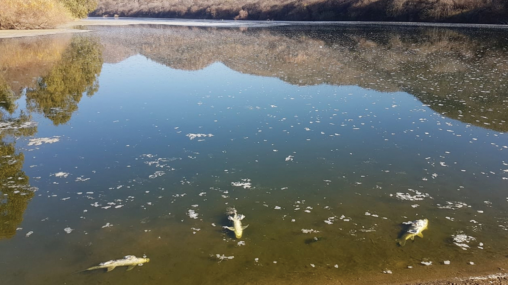MISLEADING MEDIA REPORTS ON VAAL RIVER POLLUTION